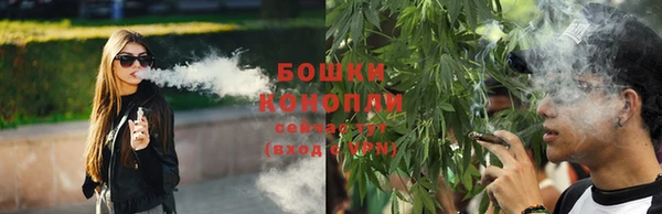 ешки Арсеньев