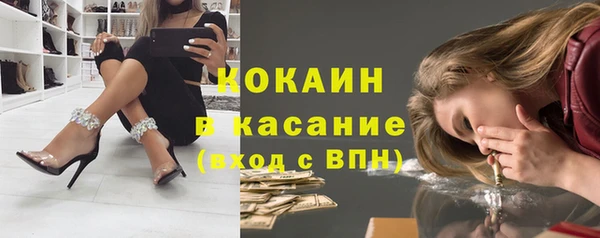 ешки Арсеньев