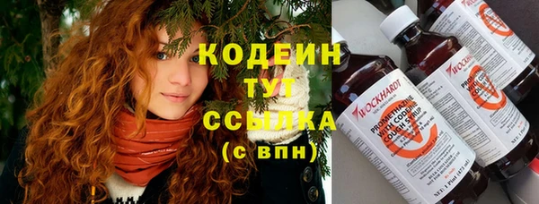 ешки Арсеньев