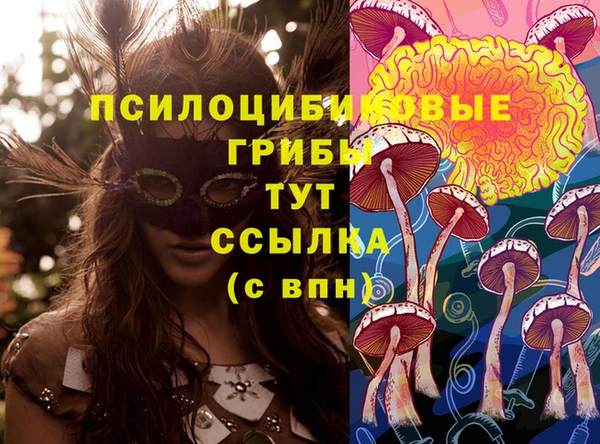 ешки Арсеньев