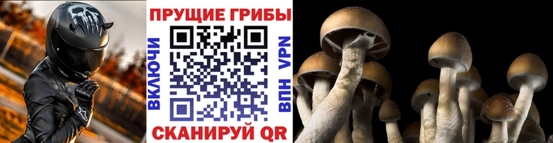 Галлюциногенные грибы MAGIC MUSHROOMS Певек